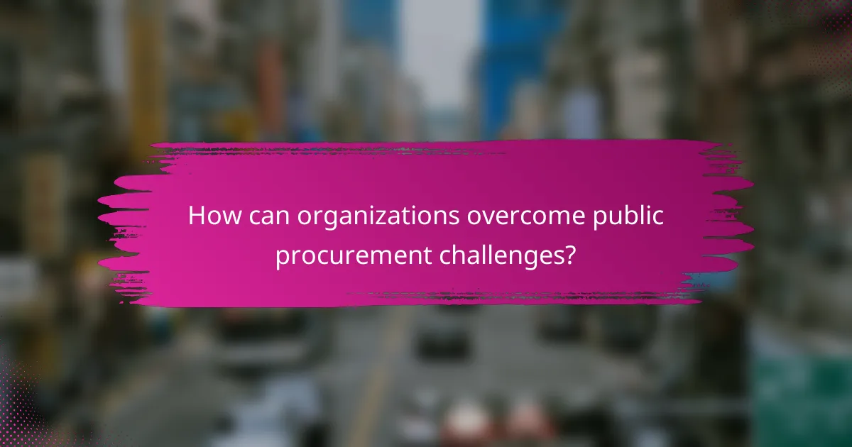 How can organizations overcome public procurement challenges?