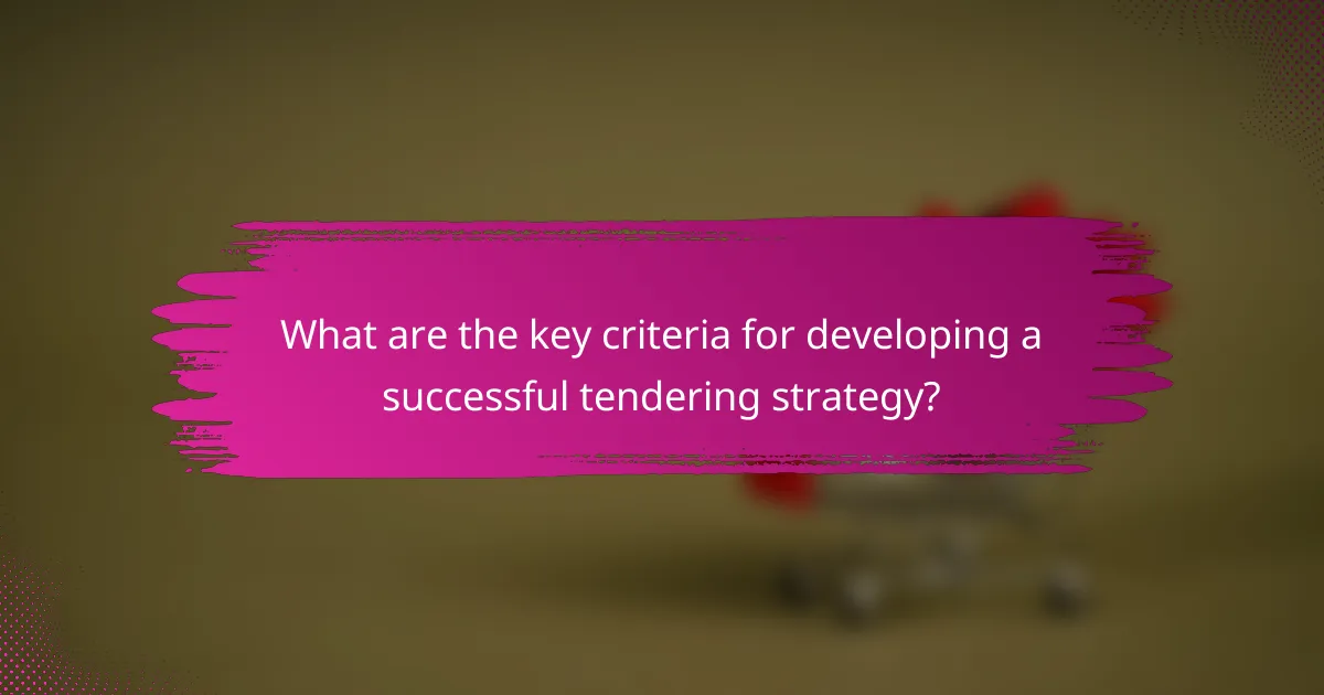 What are the key criteria for developing a successful tendering strategy?