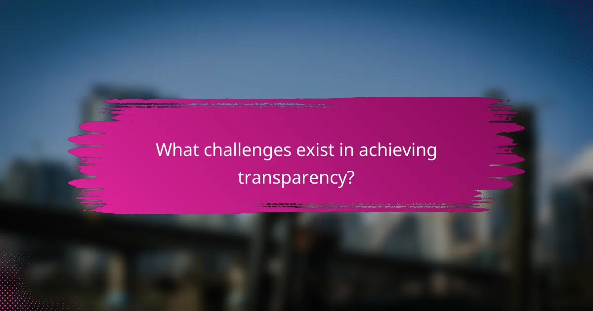 What challenges exist in achieving transparency?