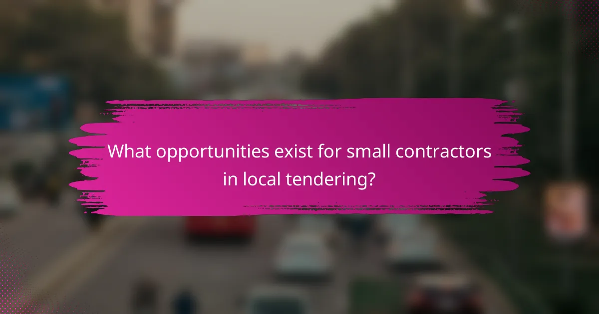 What opportunities exist for small contractors in local tendering?